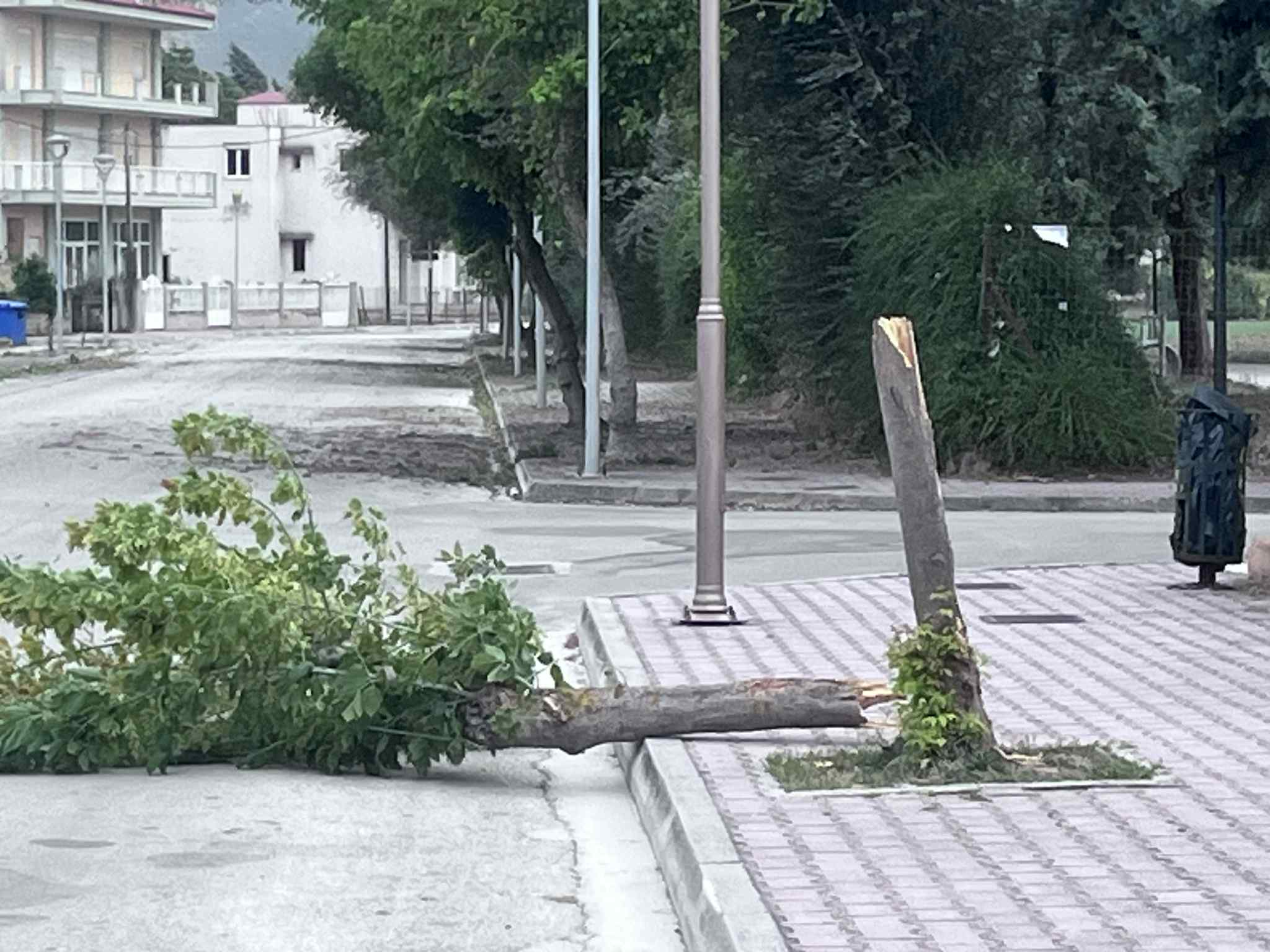 Δυνατοί Άνεμοι στην Πτολεμαΐδα: Ξηλώθηκε Κάγκελο Μπαλκονιού σε διώροφη κατοικία ( βίντεο - φωτογραφίες) | Eordaialive.com Δυνατοί Άνεμοι στην Πτολεμαΐδα: Ξηλώθηκε Κάγκελο Μπαλκονιού σε διώροφη κατοικία ( βίντεο - φωτογραφίες) - Eordaialive.com