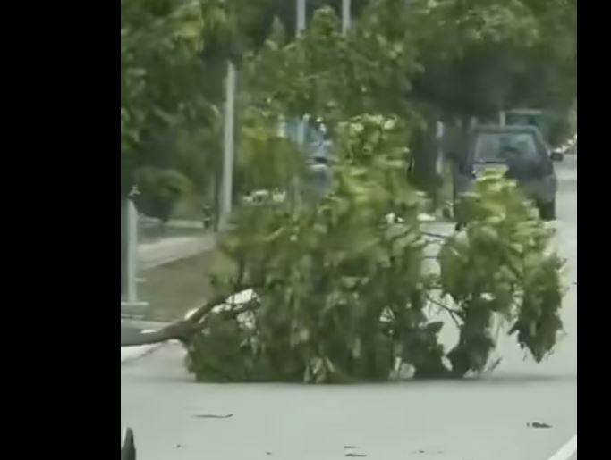 Δυνατοί Άνεμοι στην Πτολεμαΐδα: Ξηλώθηκε Κάγκελο Μπαλκονιού σε διώροφη κατοικία ( βίντεο - φωτογραφίες) | Eordaialive.com Δυνατοί Άνεμοι στην Πτολεμαΐδα: Ξηλώθηκε Κάγκελο Μπαλκονιού σε διώροφη κατοικία ( βίντεο - φωτογραφίες) - Eordaialive.com