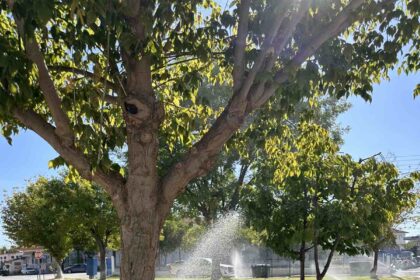 Αναδιάρθρωση πρασίνου και τοποθέτηση αυτόματων ποτισμάτων στο Αμύνταιο