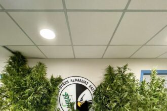 Συνελήφθη 54χρονος ημεδαπός, για καλλιέργεια δενδρυλλίων κάνναβης και διακίνηση ναρκωτικών (video & φωτογραφίες) - Eordaialive.com