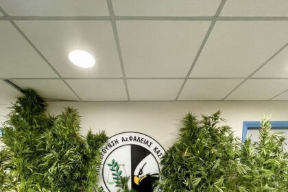 Συνελήφθη 54χρονος ημεδαπός, για καλλιέργεια δενδρυλλίων κάνναβης και διακίνηση ναρκωτικών (video & φωτογραφίες) - Eordaialive.com