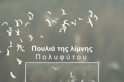 «Πουλιά της λίμνης Πολυφύτου»
