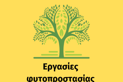 Εργασίες φυτοπροστασίας σε δέντρα στον Δήμο Κοζάνης