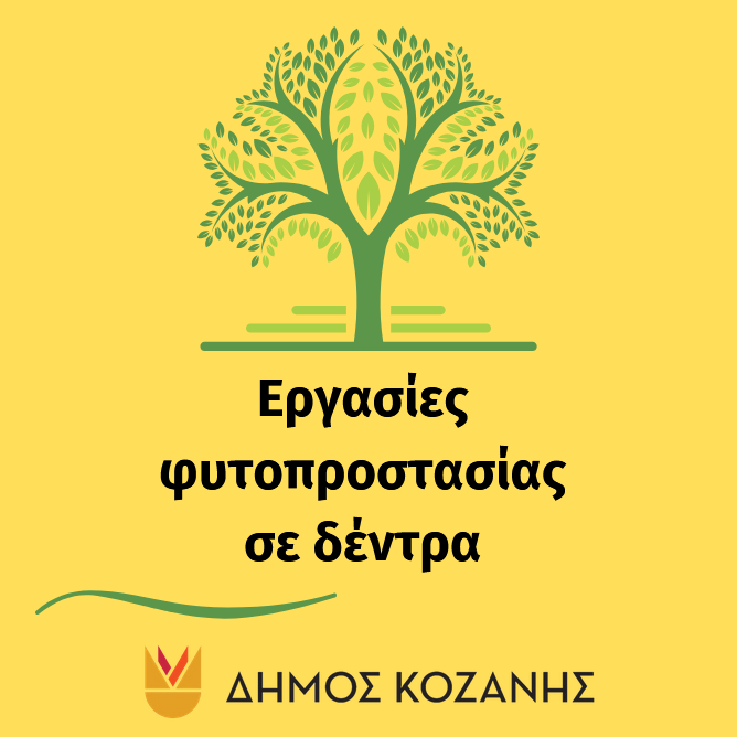 Εργασίες φυτοπροστασίας σε δέντρα στον Δήμο Κοζάνης