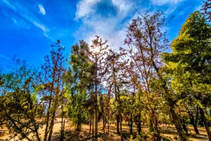 Στη δυτική Μακεδονία 2 με 3 βαθμούς χαμηλότερη