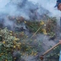 Πρόστιμο 1.289,06 € για Παράνομη Καύση Υπολειμμάτων Καλλιεργειών σε Αγρότη του Δήμου Κοζάνης