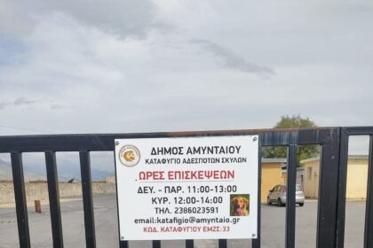 Καταφύγιο Αμύνταιο