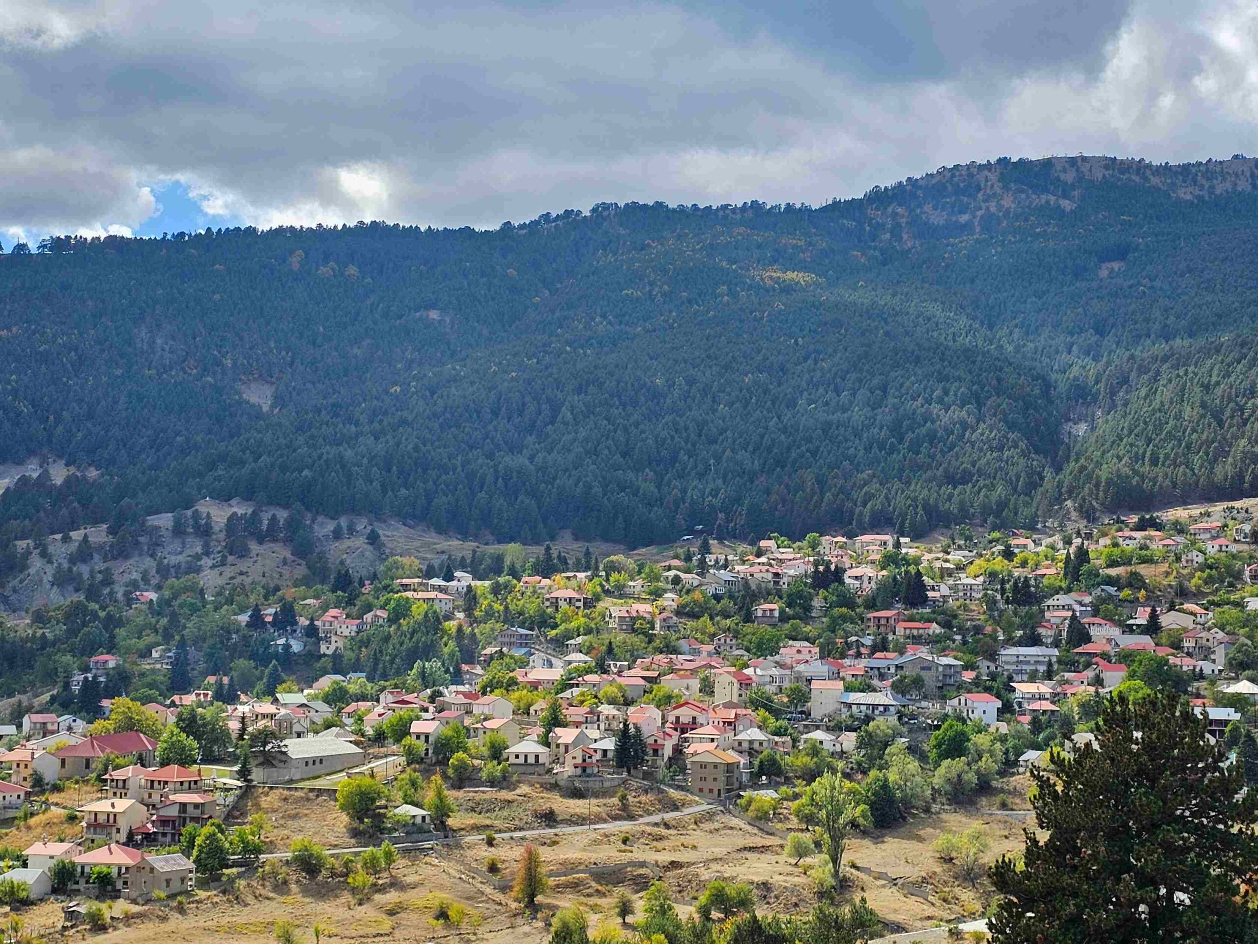 Κασαπίδης: Αναγκαία η Εθνική Στρατηγική για τη Θωράκιση της Κτηνοτροφίας - Συνάντηση με Κτηνοτρόφους στη Σαμαρίνα Γρεβενών | Eordaialive.com Κασαπίδης: Αναγκαία η Εθνική Στρατηγική για τη Θωράκιση της Κτηνοτροφίας - Συνάντηση με Κτηνοτρόφους στη Σαμαρίνα Γρεβενών - Eordaialive.com