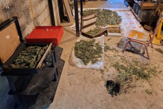 Συνελήφθη 41χρονος ημεδαπός στην περιοχή της Φλώρινας, για κατοχή ναρκωτικών ουσιών