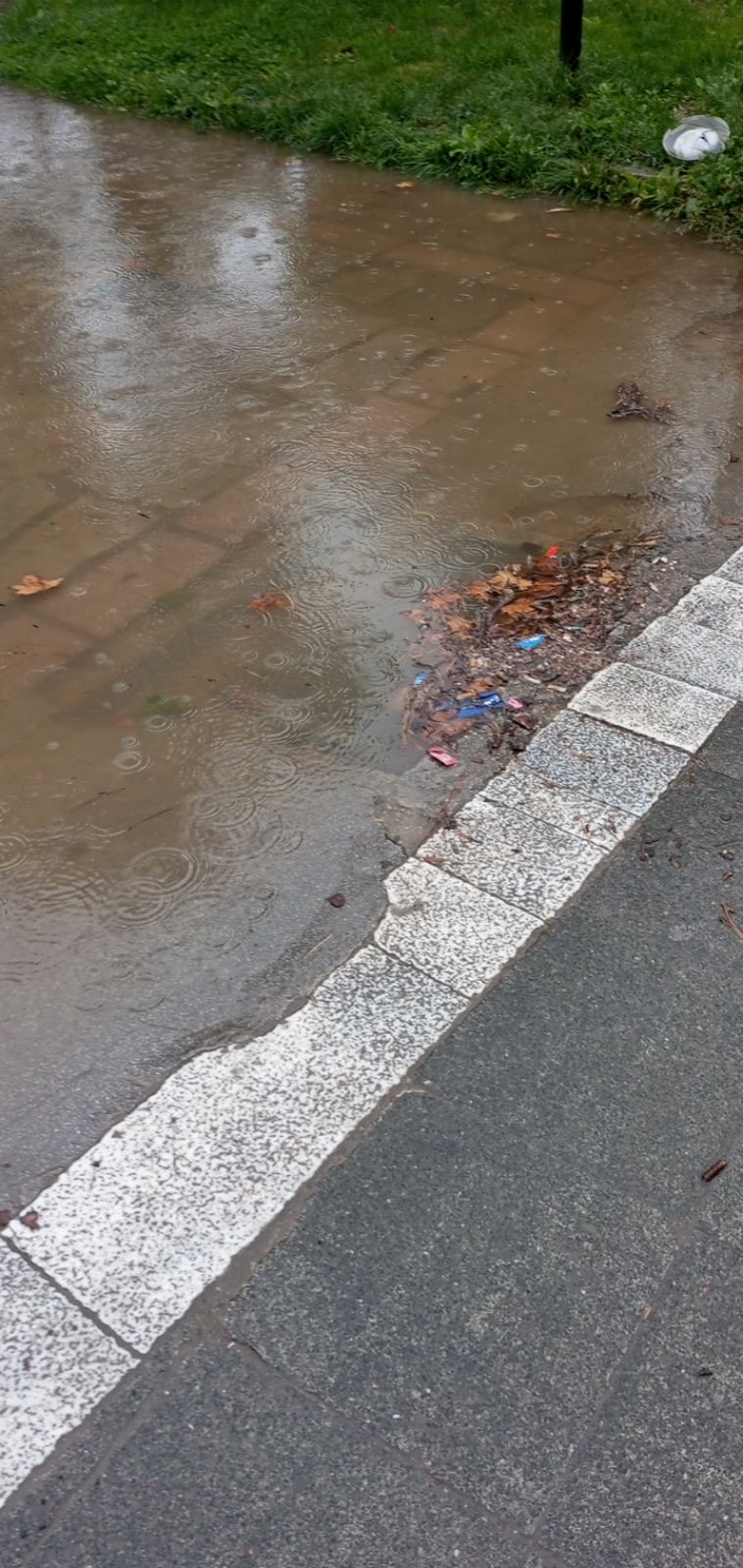 Πτολεμαΐδα: Παράπονο αναγνώστη για την κατάσταση στο παλιό πάρκο: ''Στο ίδιο έργο θεατές'' (εικόνες) | Eordaialive.com Πτολεμαΐδα: Παράπονο αναγνώστη για την κατάσταση στο παλιό πάρκο: ''Στο ίδιο έργο θεατές'' (εικόνες) - Eordaialive.com