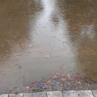 Πτολεμαΐδα: Παράπονο αναγνώστη για την απελπιστική κατάσταση στο παλιό πάρκο: Στο ίδιο έργο θεατές ! (εικόνες)
