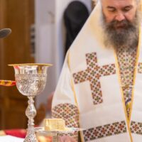 Ο δρόμος των 40 ημερών για τη Φάτνη (γράφει ο Μητροπολίτης Φλωρίνης Πρεσπών και Εορδαίας Ειρηναίος)