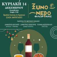 Χριστουγεννιάτικη εκδήλωση Δήμου Αμυνταίου