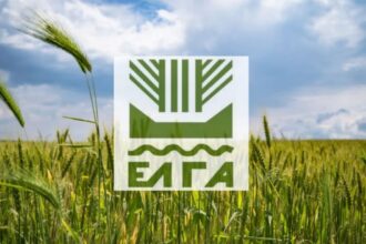 ΕΛΓΑ: Πληρωμή 120 εκατ. ευρώ πριν τις γιορτές και διευκρινίσεις για τις παρακρατήσεις εισφορών
