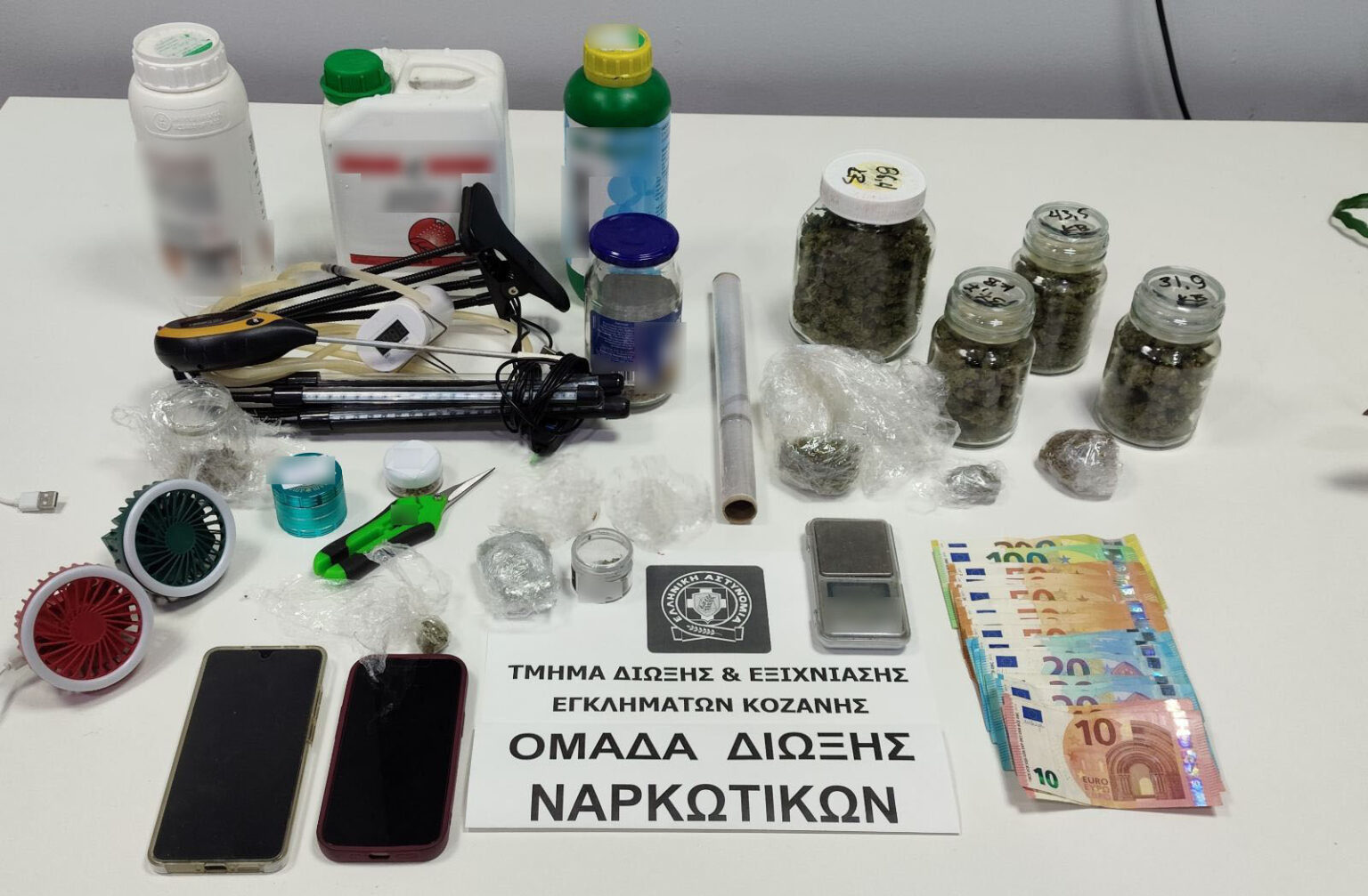«Φυτώριο» κάνναβης σε σπίτι στην Κοζάνη – Χειροπέδες σε 24χρονο και 22χρονη