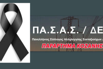 ΠΑ.Σ.Α.Σ ΔΕΗ Κοζάνης: Αποχαιρετάμε τον Γιώργο Διαμαντόπουλο