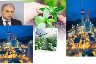 Από το ρεύμα στη... σαλάτα ;