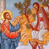 Κήρυγμα Ιεράς Μητροπόλεως Φλωρίνης, Πρεσπών και Εορδαίας Κυριακής του Ζακχαίου (25 Ιανουαρίου 2026)
