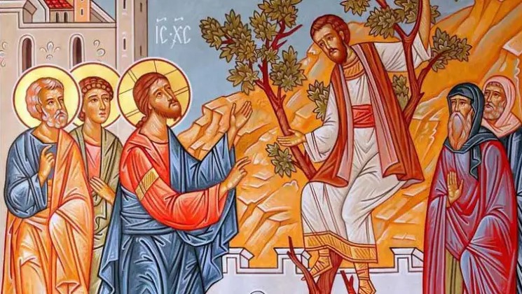 Κήρυγμα Ιεράς Μητροπόλεως Φλωρίνης, Πρεσπών και Εορδαίας Κυριακής του Ζακχαίου (25 Ιανουαρίου 2026)