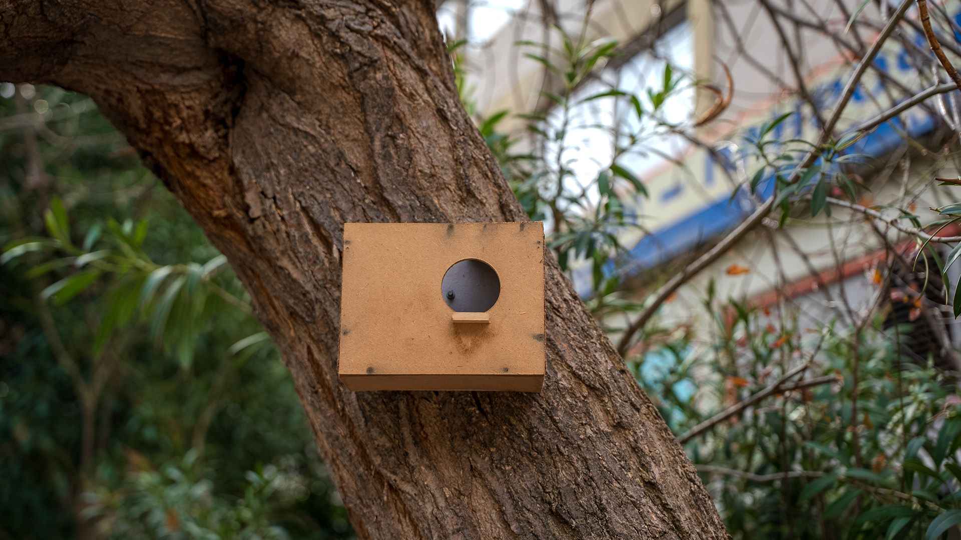 Νέο ΔΕΗ Mini Park στον Σταθμό Λαρίσης | Eordaialive.com Νέο ΔΕΗ Mini Park στον Σταθμό Λαρίσης - Eordaialive.com