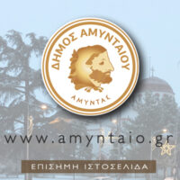 Ψήφισμα Δημοτικού Συμβουλίου Αμυνταίου για τον θάνατο του πρώην Δημάρχου Αμυνταίου, Γιαγκούλη Στέφανου