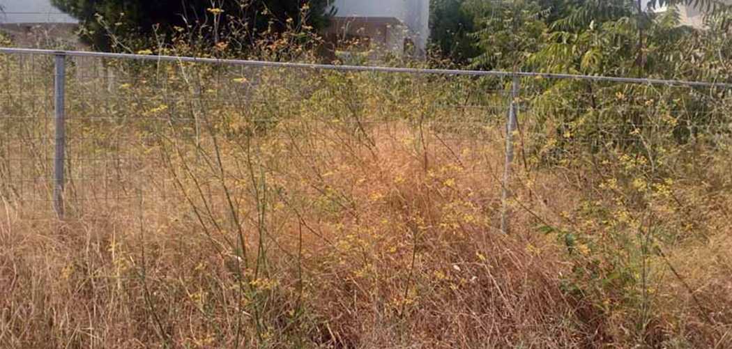 Αυστηροποιείται το πλαίσιο για τον καθαρισμό οικοπέδων: Υποχρεωτική δήλωση και διπλασιασμός προστίμων από το 2026