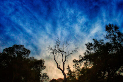 Καιρός αύριο:  Πτώση της θερμοκρασίας με τοπικές βροχές