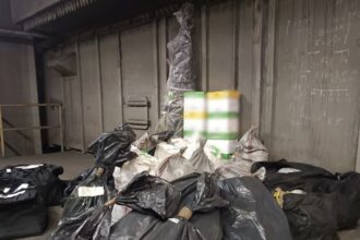 Πάνω από 200 κιλά κάνναβης καταστράφηκε σε περιοχή της Κοζάνης - Eordaialive.com