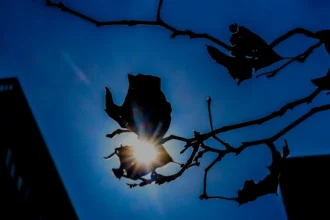 Προελαύνει η κακοκαιρία Deborah: Καταιγίδες στο μεγαλύτερο μέρος της χώρας, ισχυροί άνεμοι και χιόνια στα ορεινά