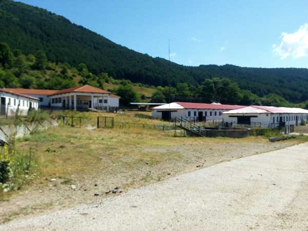 Βλάστη: Σε πλειοδοσία 12 τόνοι πρόβειου γάλακτος από το Πρότυπο Κέντρο Κτηνοτροφίας, με τιμή εκκίνησης 1,50€/κιλό