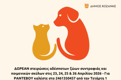 Δήμος Κοζάνης: ΔΩΡΕΑΝ στειρώσεις αδέσποτων ζώων συντροφιάς και ποιμενικών σκύλων στις 23, 24, 25 & 26 Απριλίου 2026