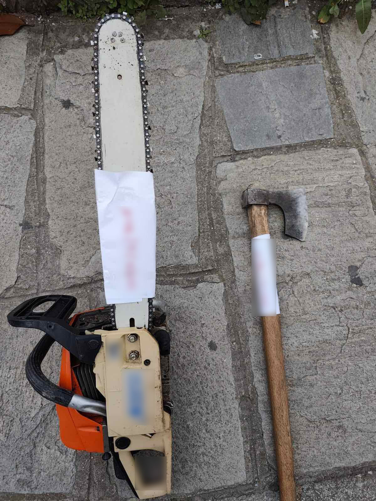 Τον έπιασαν στα πράσα να αποψιλώνει δάσος στην Καστοριά – Συνελήφθη 23χρονος για παράνομη υλοτομία 30 κυβικών μέτρων ξυλείας - Eordaialive.com