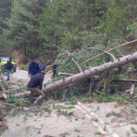 Κοζάνη: Πτώση δέντρων πριν τα «Λιβάδια» στο Καταφύγιο Βελβεντού – Άμεση αποκατάσταση της κυκλοφορίας