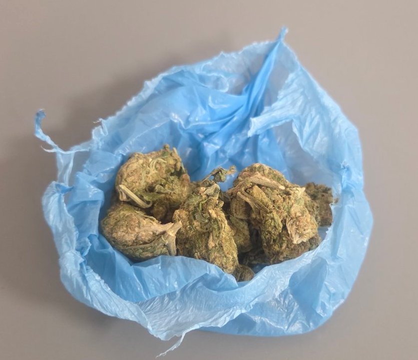 Χειροπέδες σε 19χρονο στα Γρεβενά για κατοχή κάνναβης»