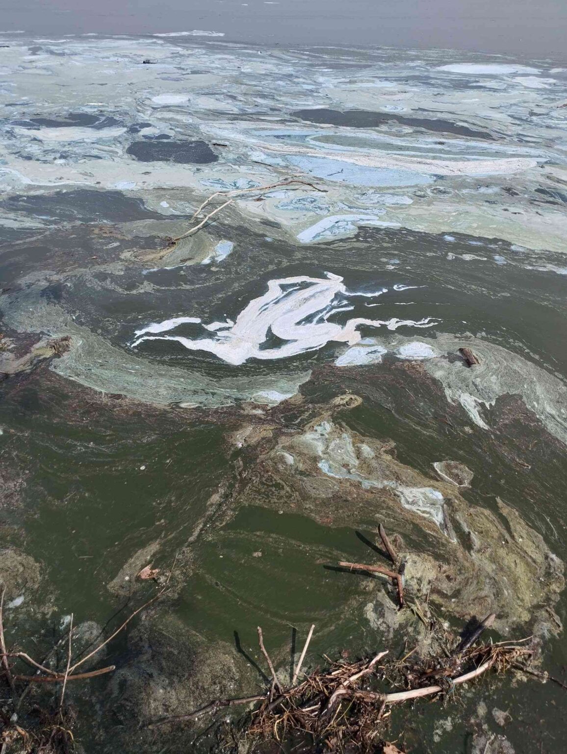 Διεύθυνση Περιβάλλοντος & Χωρικού Σχεδιασμού Περιφέρειας Δυτικής Μακεδονίας: Αυτοψία στη λίμνη Πολυφύτου -  Συλλογή δειγμάτων και έρευνα για τον επιφανειακό αφρισμό