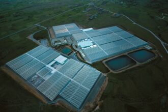 Wonderplant: Η μεγάλη επέκταση στην Πτολεμαΐδα και οι ΣΗΘΥΑ ισχύος 30 MW