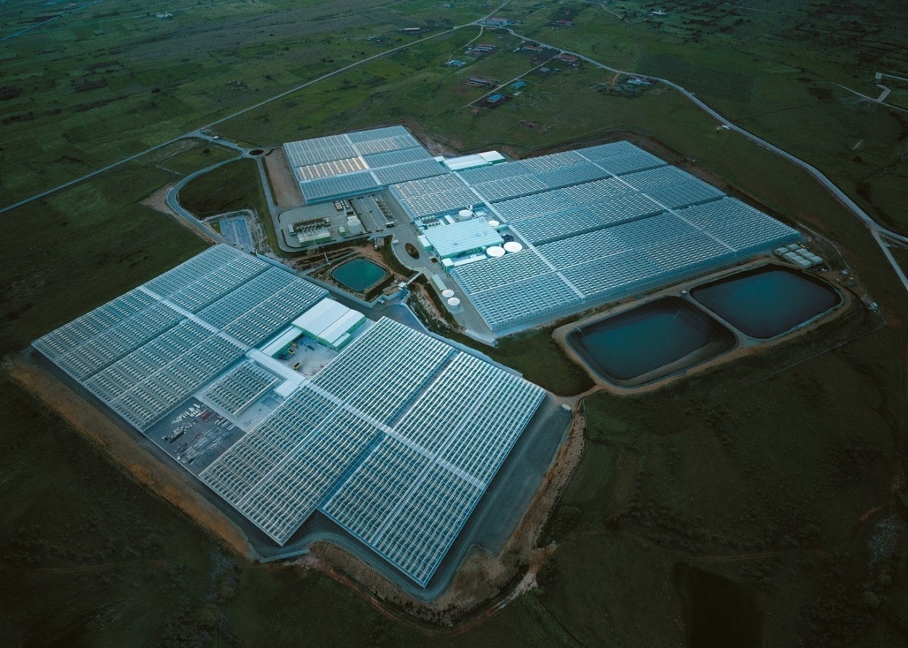 Wonderplant: Η μεγάλη επέκταση στην Πτολεμαΐδα και οι ΣΗΘΥΑ ισχύος 30 MW