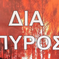 «ΔΙΑ ΠΥΡΟΣ 2026»: Μεγάλη άσκηση δασικής πυρκαγιάς την Πέμπτη στον Άγιο Βαρθολομαίο Φλώρινας