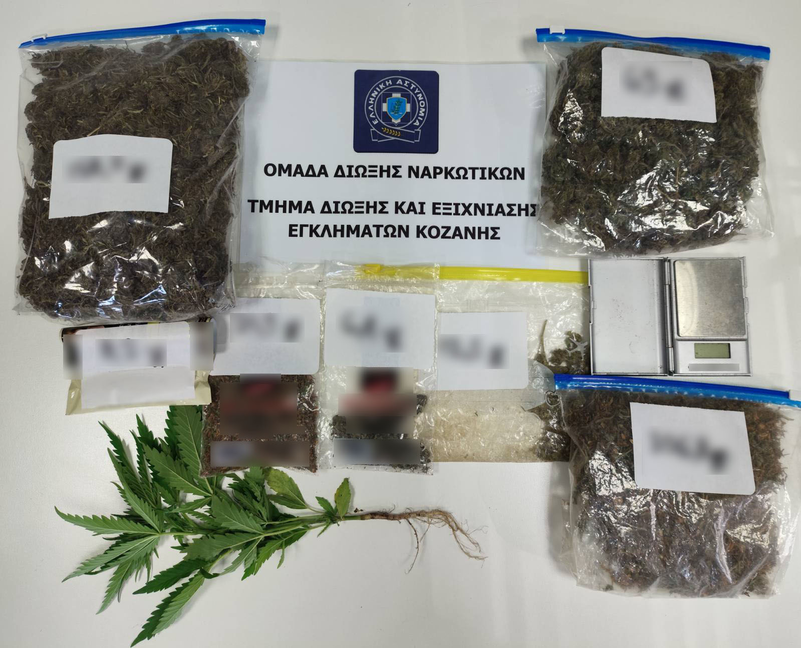 Κοζάνη: «Φυτώριο» και ζυγαριά ακριβείας στο σπίτι 51χρονου – Συνελήφθη για διακίνηση ναρκωτικών | Eordaialive.com Κοζάνη: «Φυτώριο» και ζυγαριά ακριβείας στο σπίτι 51χρονου – Συνελήφθη για διακίνηση ναρκωτικών - Eordaialive.com