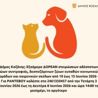 Δήμος Κοζάνης: Εξαήμερο ΔΩΡΕΑΝ στειρώσεων αδέσποτων ζώων συντροφιάς, δεσποζόμενων ζώων ευπαθών κοινωνικών ομάδων και ποιμενικών σκύλων