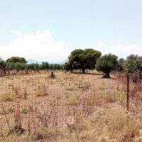 Τέλος χρόνου για τις δηλώσεις για τα ακαθάριστα οικόπεδα: Δεν θα δοθεί άλλη παράταση – Τα πρόστιμα και οι κυρώσεις