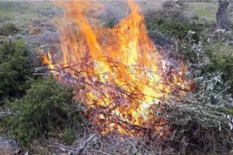 Φλώρινα: «Τσουχτερό» πρόστιμο 1.500 ευρώ σε πολίτη που έκαιγε ξερά χόρτα