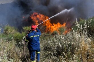 Σύλληψη και πρόστιμο 1.546€ σε άνδρα για πρόκληση πυρκαγιάς σε αγροτοδασική έκταση στη Δεσκάτη Γρεβενών