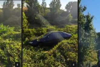Πτολεμαΐδα: Εξιχνιάστηκαν 3 κλοπές οχημάτων από την Ασφάλεια – Έκλεψαν αυτοκίνητο, ψώνισαν με την κάρτα του θύματος και το έκρυψαν σε ρέμα - Eordaialive.com