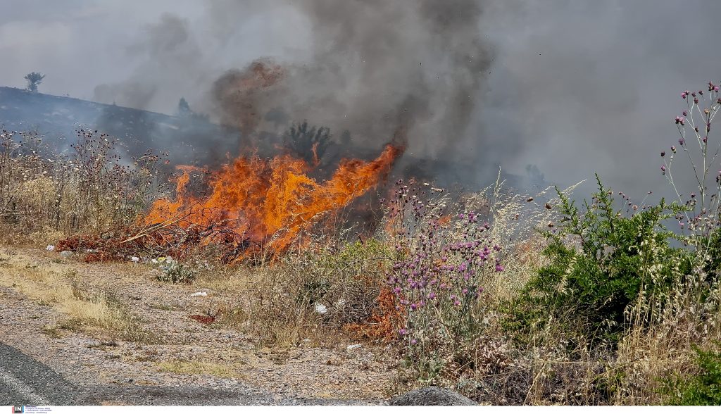 Πρόστιμα για πρόκληση πυρκαγιών σε Κοζάνη και Φλώρινα – 1.125 € και 850 € σε δύο ημεδαπούς