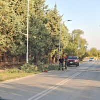 Πτώση δέντρου στον δρόμο προς το Νοσοκομείο Πτολεμαΐδας – Ευτυχώς χωρίς τραυματισμούς - Eordaialive.com