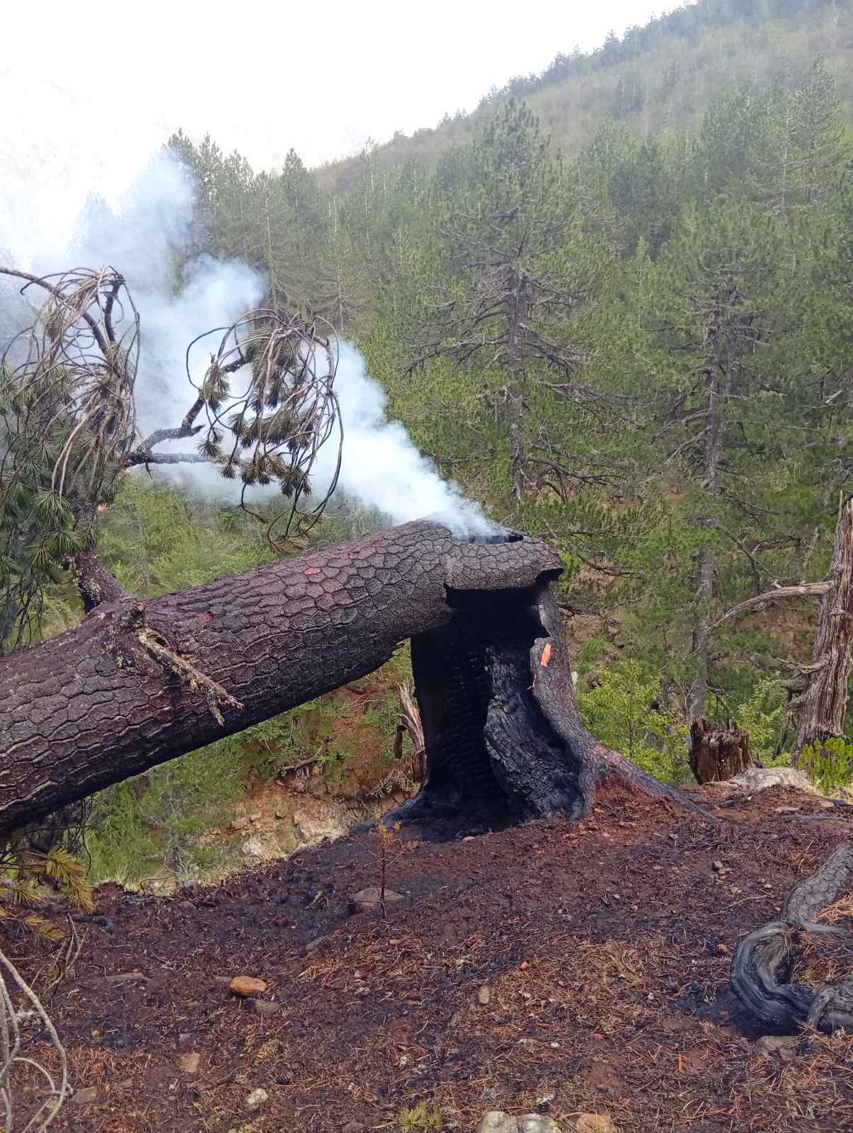 Σε αυξημένη ετοιμότητα η Π.Ε. Κοζάνης για την αντιμετώπιση πυρκαγιών – Συντονισμός Περιφέρειας και Πυροσβεστικής. - Eordaialive.com
