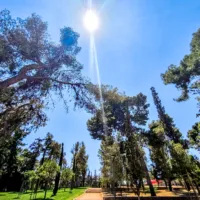 Καιρός: Καύσωνας, μελτέμια 7 μποφόρ και καταιγίδες στα βόρεια – Πότε θα πέσει η θερμοκρασία