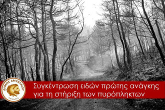 Κάλεσμα αλληλεγγύης του Δήμου Αμυνταίου για τους πυρόπληκτους των Βιλίων