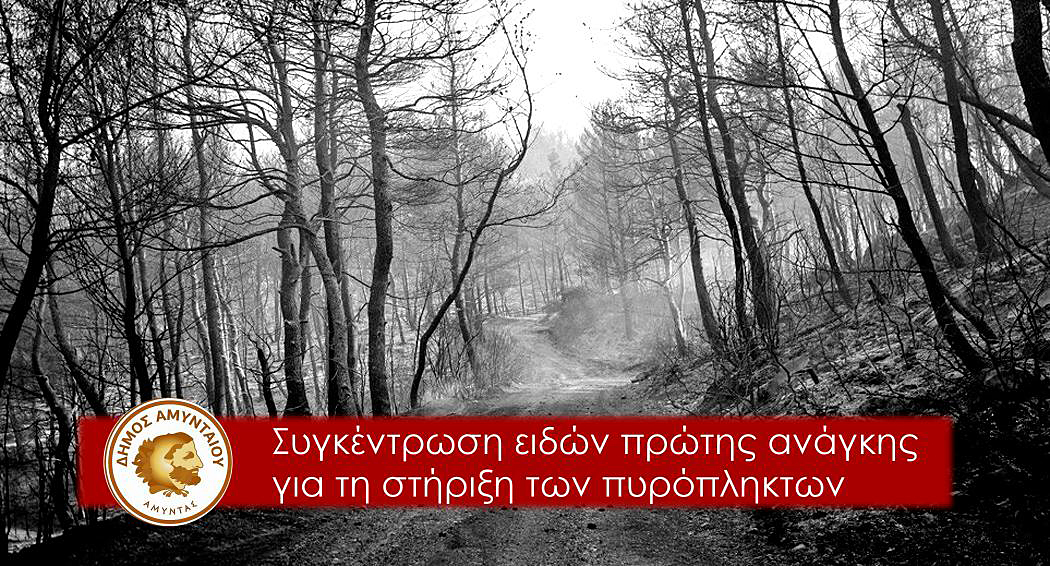 Κάλεσμα αλληλεγγύης του Δήμου Αμυνταίου για τους πυρόπληκτους των Βιλίων